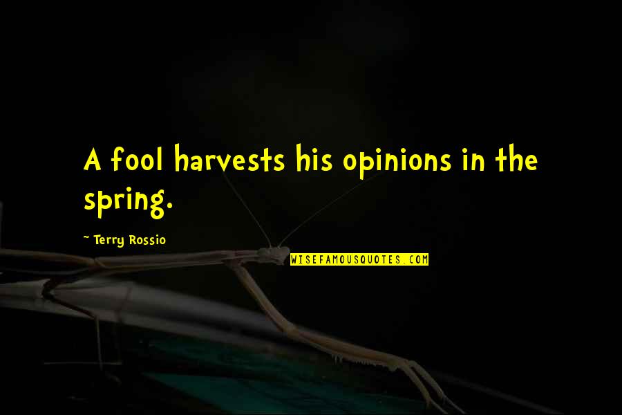 I'm Always Gonna Be Here For You Quotes By Terry Rossio: A fool harvests his opinions in the spring.