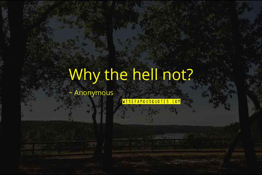 I'm Breaking Free Quotes By Anonymous: Why the hell not?