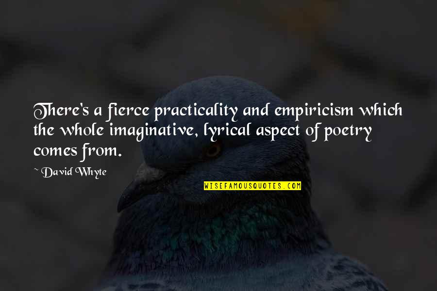 Im Celibate Quotes By David Whyte: There's a fierce practicality and empiricism which the