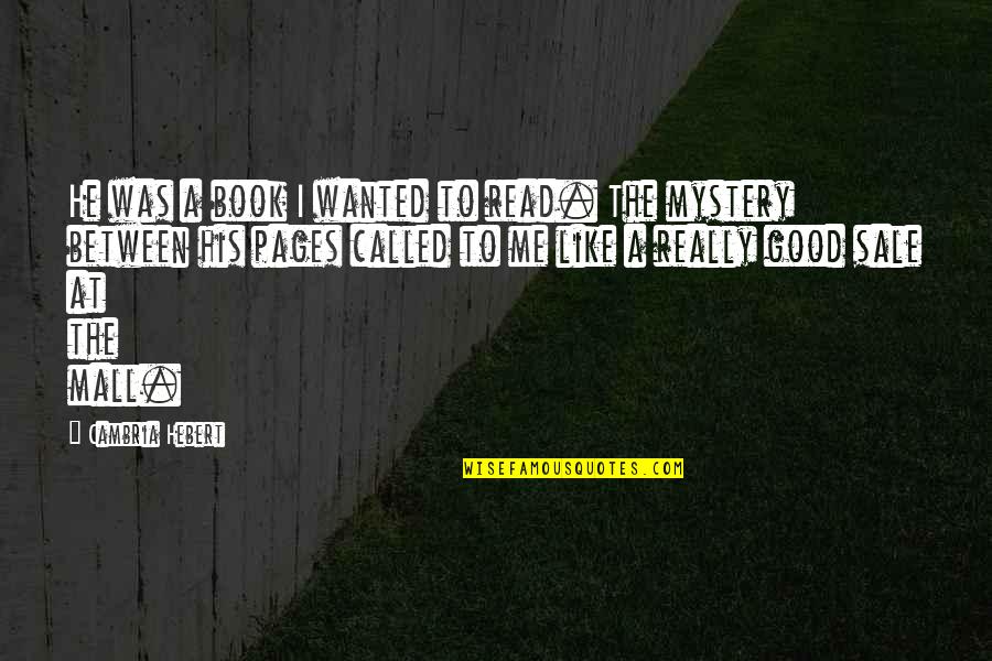 Im Changing Quotes By Cambria Hebert: He was a book I wanted to read.