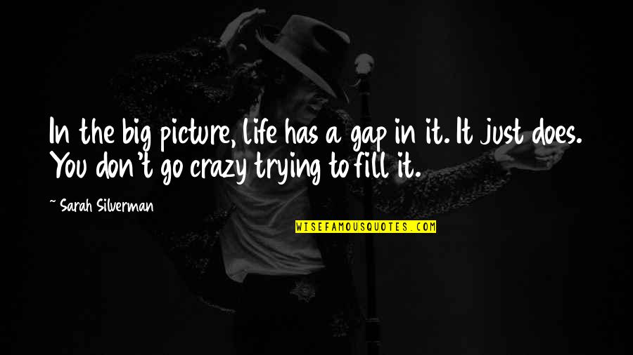 I'm Crazy Picture Quotes By Sarah Silverman: In the big picture, life has a gap