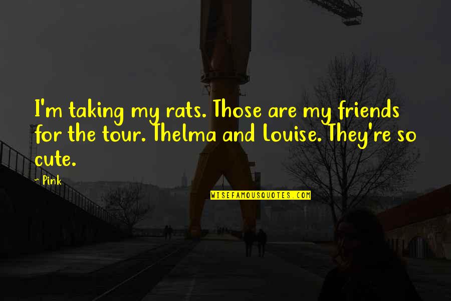 I'm Cute Quotes By Pink: I'm taking my rats. Those are my friends