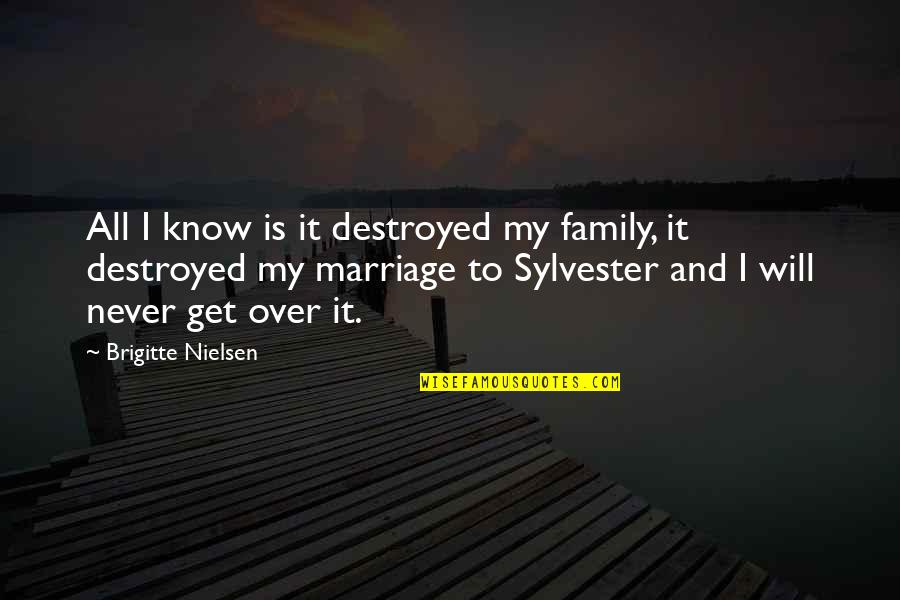 I'm Destroyed Quotes By Brigitte Nielsen: All I know is it destroyed my family,