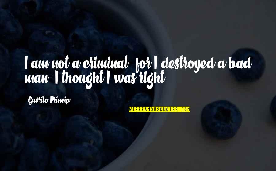 I'm Destroyed Quotes By Gavrilo Princip: I am not a criminal, for I destroyed