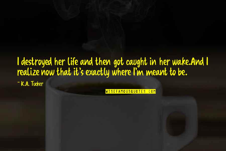 I'm Destroyed Quotes By K.A. Tucker: I destroyed her life and then got caught
