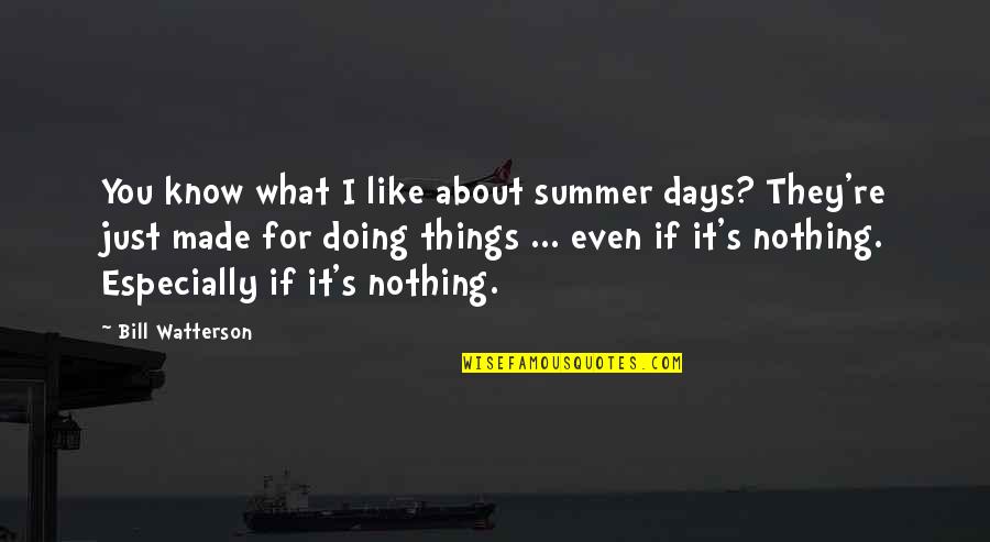 I'm Doing Nothing Quotes By Bill Watterson: You know what I like about summer days?