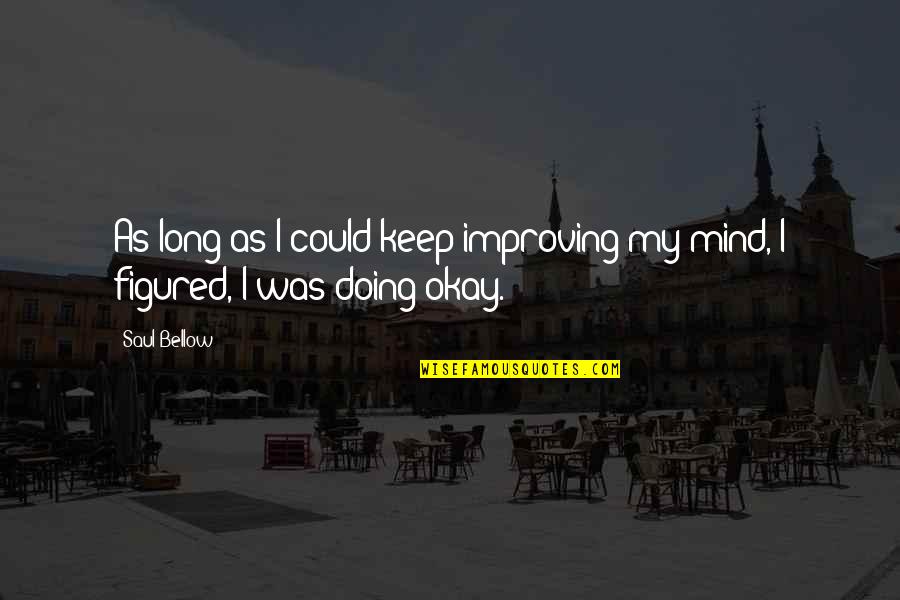 I'm Doing Okay Quotes By Saul Bellow: As long as I could keep improving my