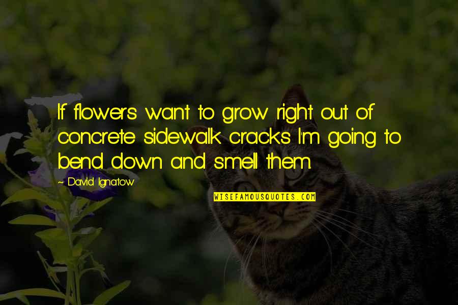 I'm Down And Out Quotes By David Ignatow: If flowers want to grow right out of