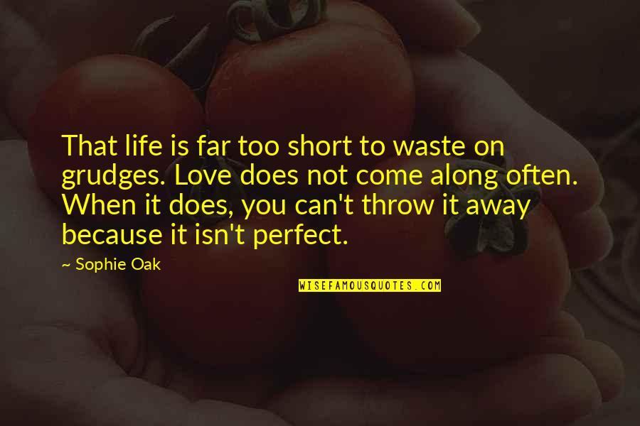 I'm Far Perfect Quotes By Sophie Oak: That life is far too short to waste