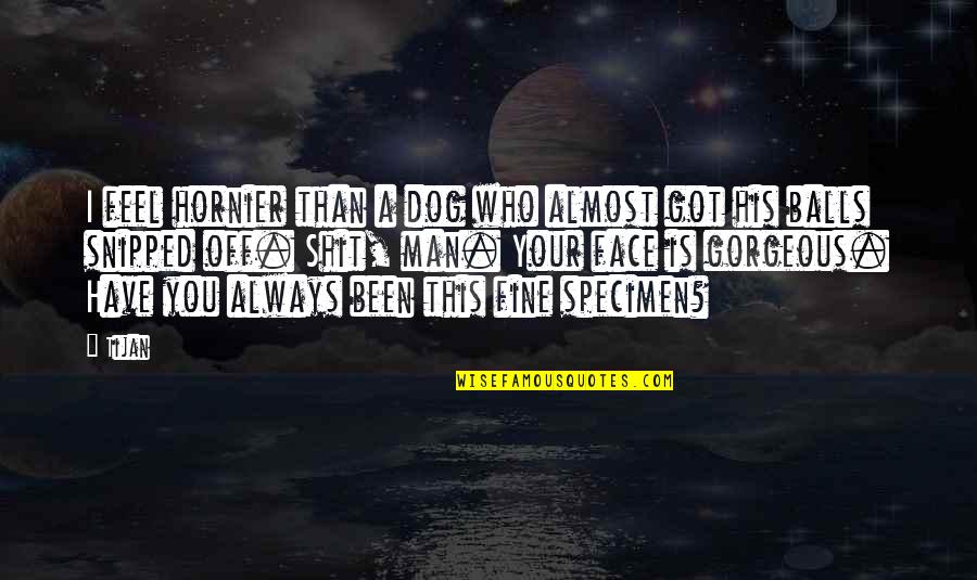 I'm Fine Without You Quotes By Tijan: I feel hornier than a dog who almost