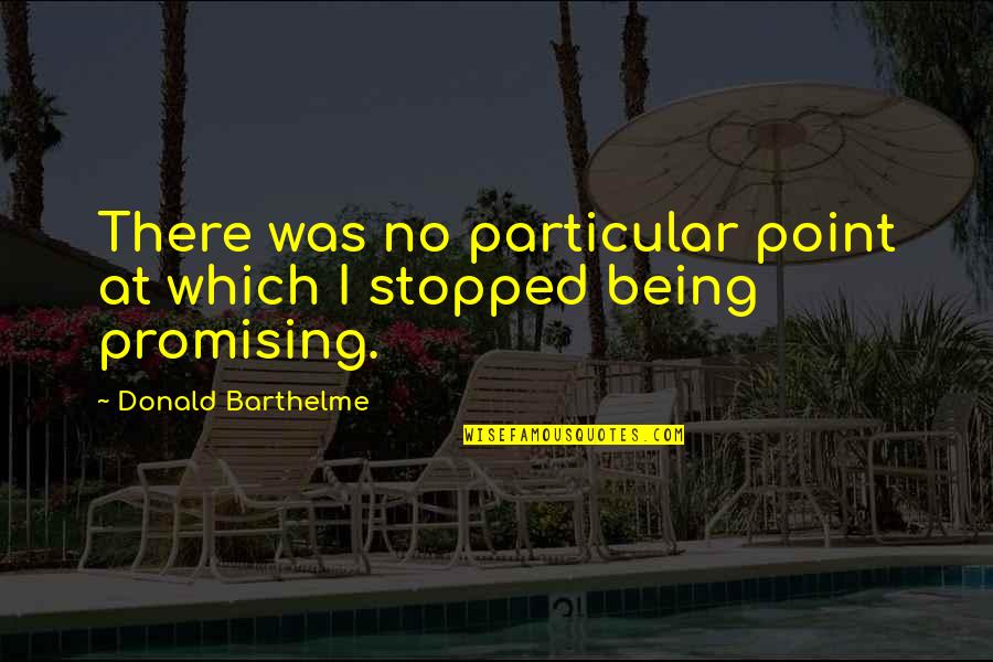 Im Flattered Quotes By Donald Barthelme: There was no particular point at which I Im Flattered Quotes By Donald Barthelme: There was no particular point at which I
