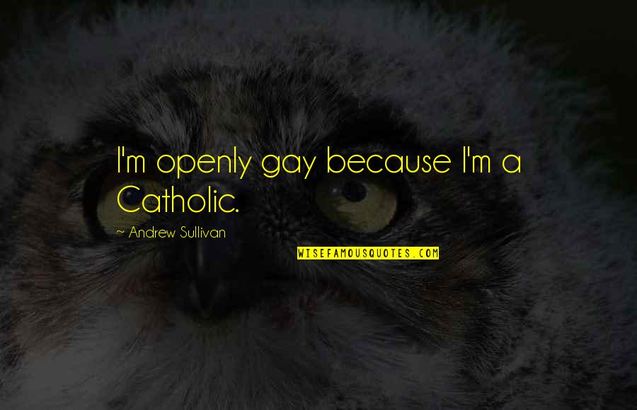 I'm Gay Quotes By Andrew Sullivan: I'm openly gay because I'm a Catholic.