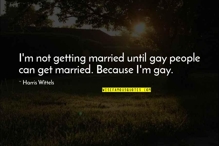 I'm Gay Quotes By Harris Wittels: I'm not getting married until gay people can