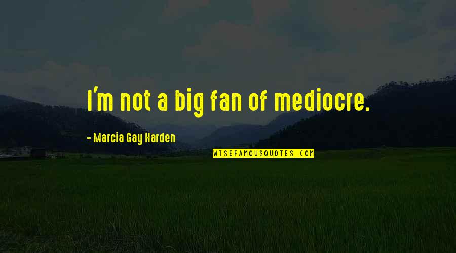 I'm Gay Quotes By Marcia Gay Harden: I'm not a big fan of mediocre.