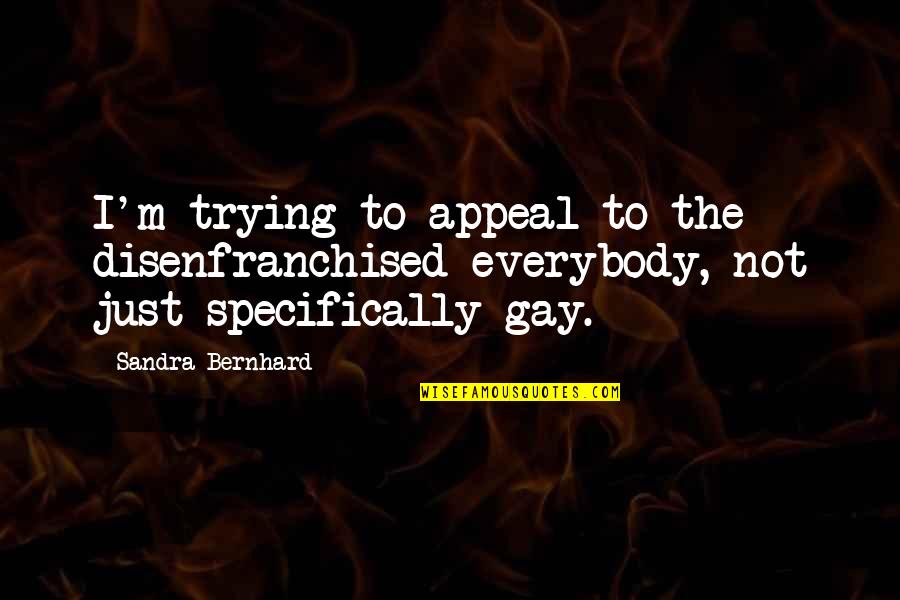 I'm Gay Quotes By Sandra Bernhard: I'm trying to appeal to the disenfranchised everybody,