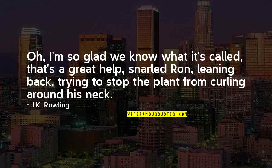 I'm Glad You're Back Quotes By J.K. Rowling: Oh, I'm so glad we know what it's