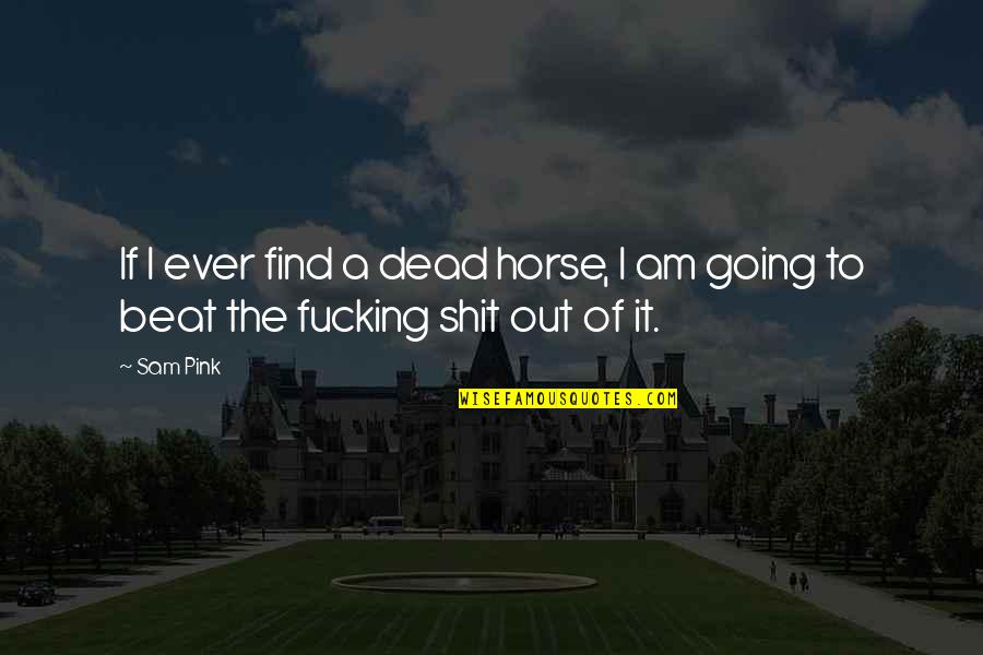 I'm Going To Beat You Quotes By Sam Pink: If I ever find a dead horse, I
