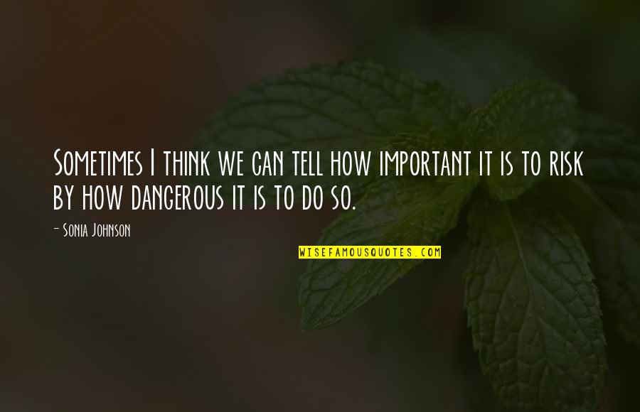 Im Going To Win Quotes By Sonia Johnson: Sometimes I think we can tell how important