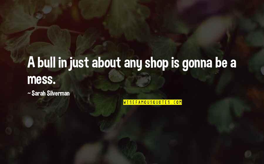 I'm Gonna Mess Up Quotes By Sarah Silverman: A bull in just about any shop is