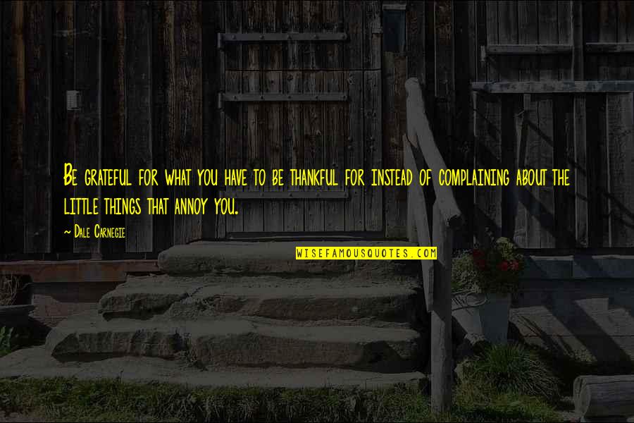I'm Grateful To Have You Quotes By Dale Carnegie: Be grateful for what you have to be
