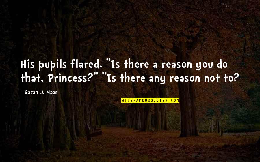 I'm His Princess Quotes By Sarah J. Maas: His pupils flared. "Is there a reason you