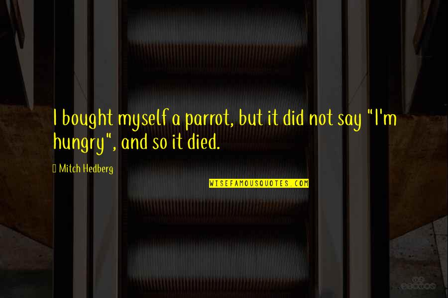 I'm Hungry Funny Quotes By Mitch Hedberg: I bought myself a parrot, but it did