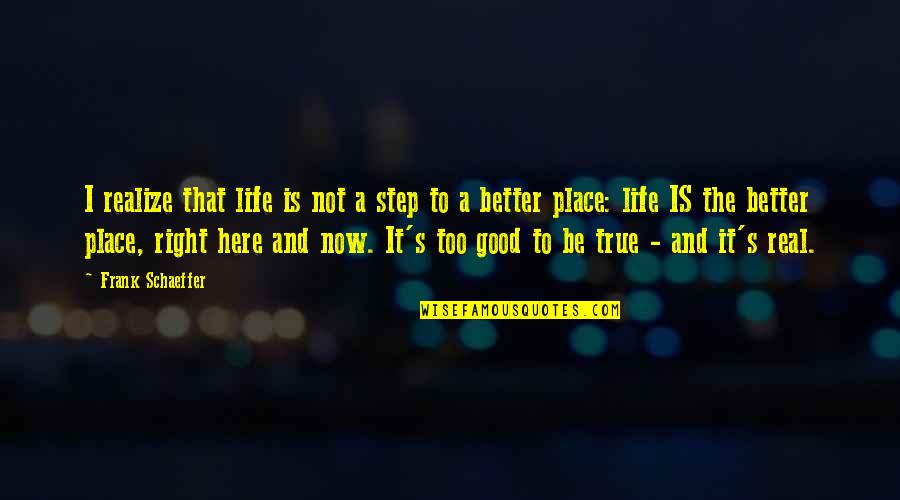 I'm In A Good Place Right Now Quotes By Frank Schaeffer: I realize that life is not a step