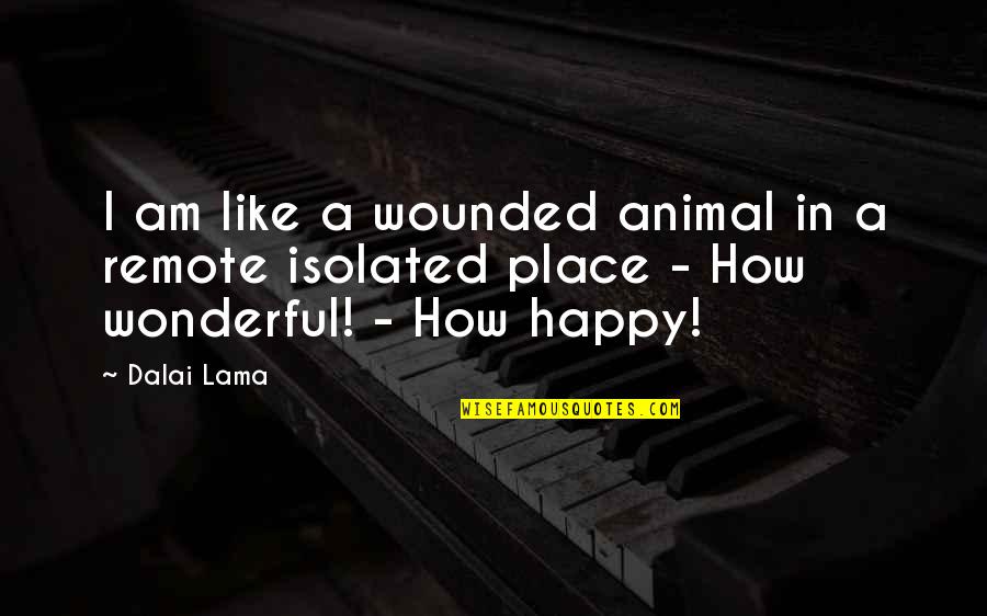 I'm In A Happy Place Quotes By Dalai Lama: I am like a wounded animal in a