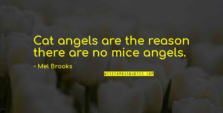 I'm Insecure Tumblr Quotes By Mel Brooks: Cat angels are the reason there are no