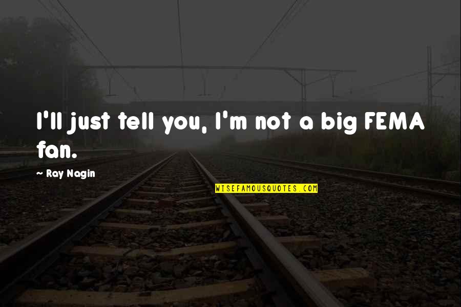 I'm Just A Fan Quotes By Ray Nagin: I'll just tell you, I'm not a big