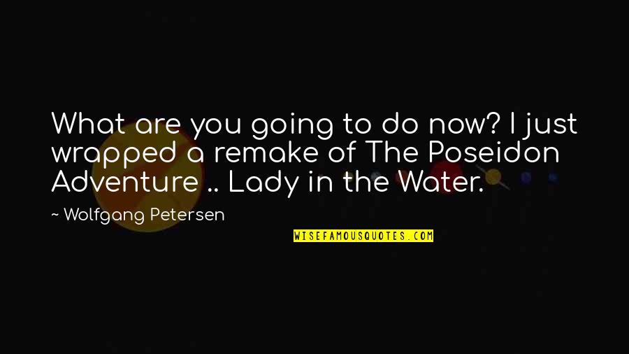 I'm Just A Lady Quotes By Wolfgang Petersen: What are you going to do now? I