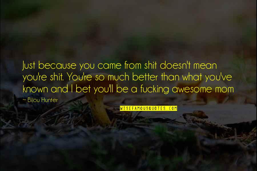I'm Just Awesome Quotes By Bijou Hunter: Just because you came from shit doesn't mean