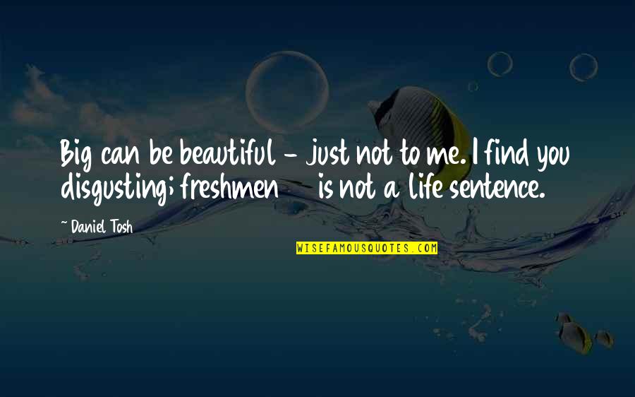 I'm Just Beautiful Me Quotes By Daniel Tosh: Big can be beautiful - just not to I'm Just Beautiful Me Quotes By Daniel Tosh: Big can be beautiful - just not to
