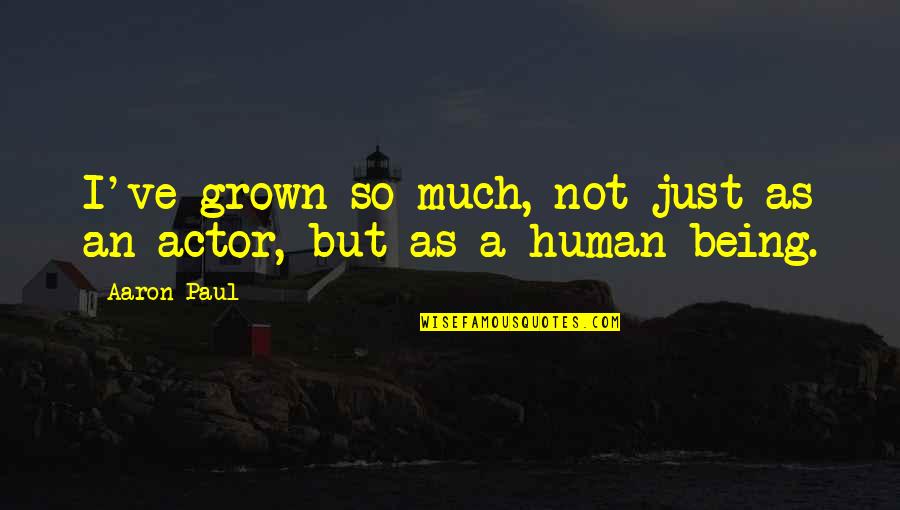 I'm Just Human Quotes By Aaron Paul: I've grown so much, not just as an