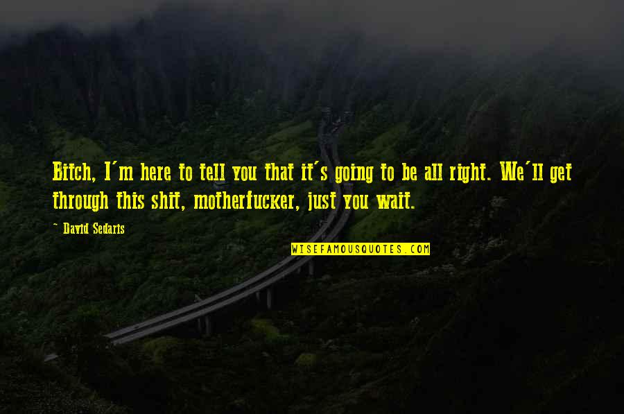 I'm Just Right Here Quotes By David Sedaris: Bitch, I'm here to tell you that it's