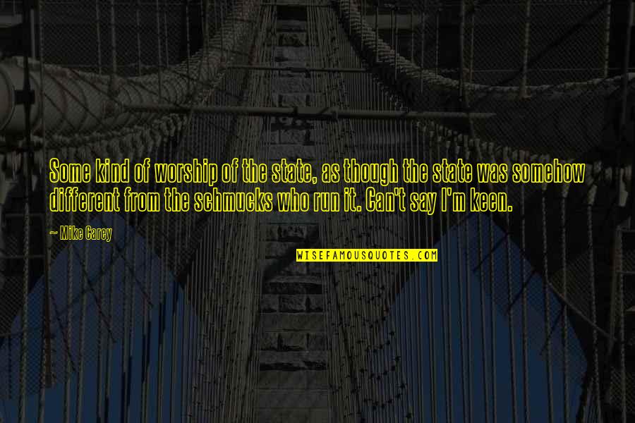 I'm Keen Quotes By Mike Carey: Some kind of worship of the state, as