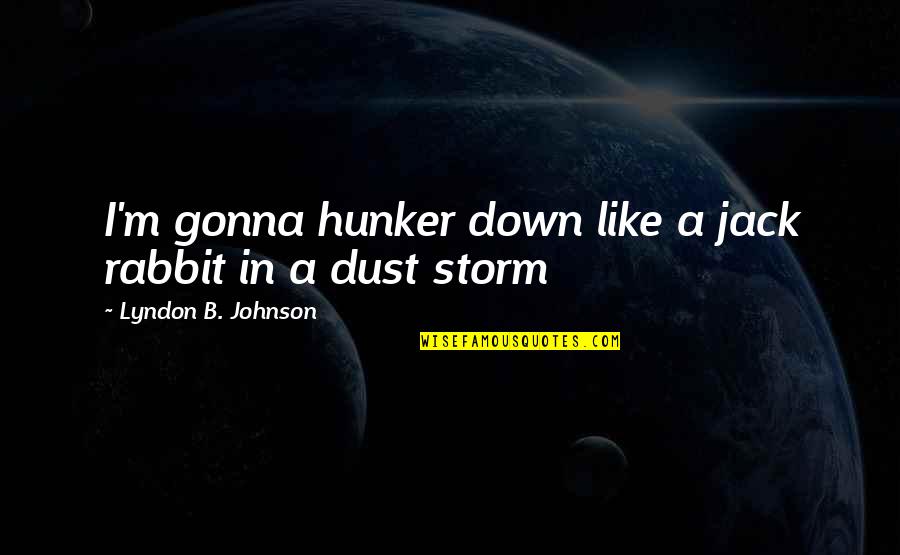 I'm Like A Storm Quotes By Lyndon B. Johnson: I'm gonna hunker down like a jack rabbit