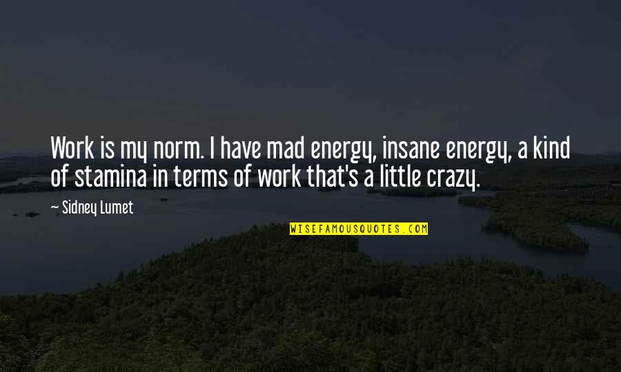 I'm Little Crazy Quotes By Sidney Lumet: Work is my norm. I have mad energy,