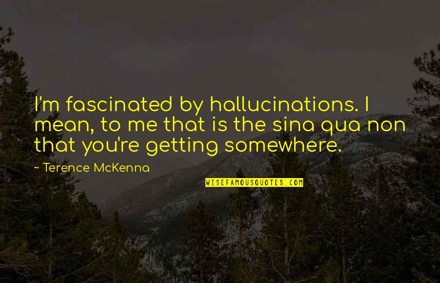 I'm Mean Quotes By Terence McKenna: I'm fascinated by hallucinations. I mean, to me