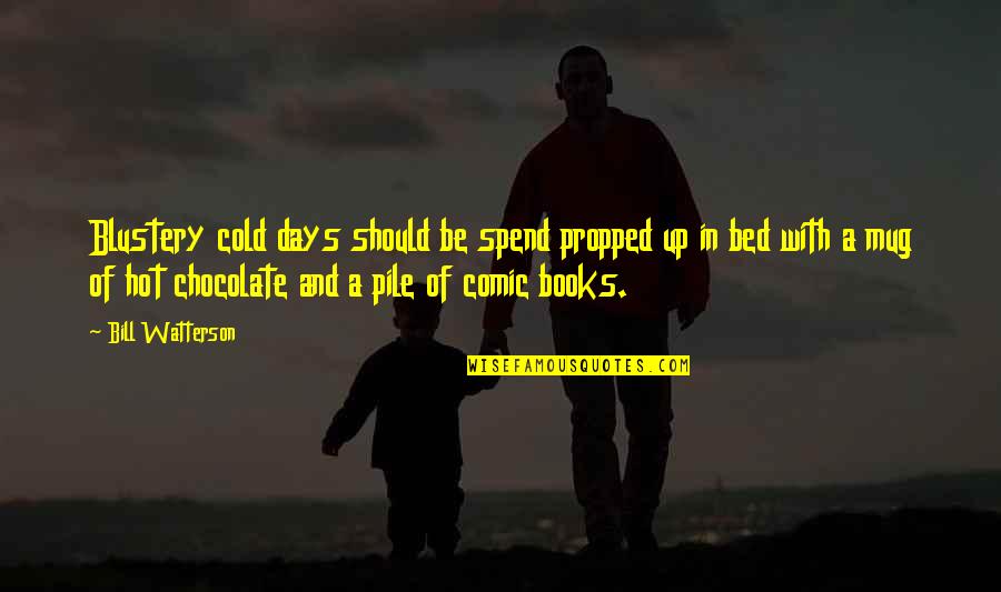 I'm No Mug Quotes By Bill Watterson: Blustery cold days should be spend propped up I'm No Mug Quotes By Bill Watterson: Blustery cold days should be spend propped up