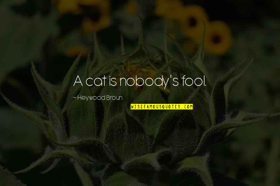 I'm Nobody's Fool Quotes By Heywood Broun: A cat is nobody's fool. I'm Nobody's Fool Quotes By Heywood Broun: A cat is nobody's fool.
