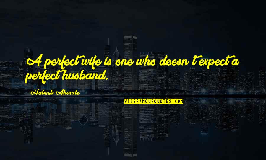 I'm Not A Perfect Husband Quotes By Habeeb Akande: A perfect wife is one who doesn't expect