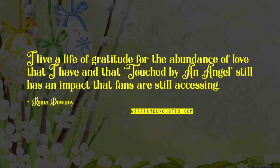 Im Not A Punching Bag Quotes By Roma Downey: I live a life of gratitude for the