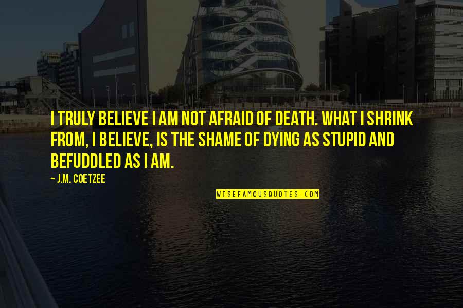 I'm Not Afraid Death Quotes By J.M. Coetzee: I truly believe I am not afraid of