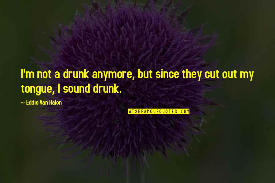 I'm Not Drunk Quotes By Eddie Van Halen: I'm not a drunk anymore, but since they