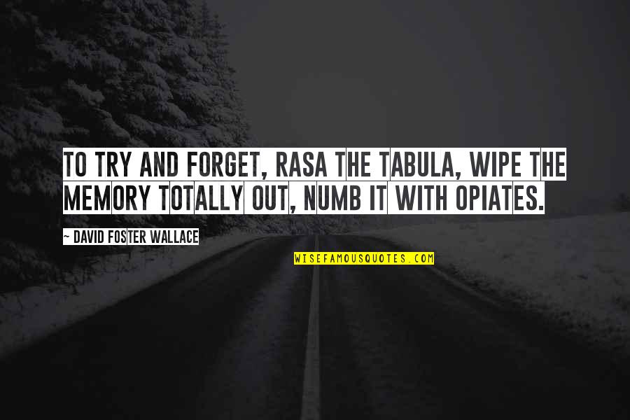 I'm Not Numb Quotes By David Foster Wallace: To try and forget, rasa the tabula, wipe I'm Not Numb Quotes By David Foster Wallace: To try and forget, rasa the tabula, wipe