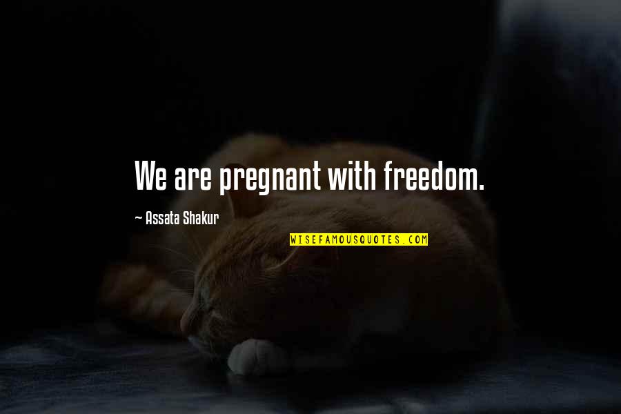 I'm Not Pregnant Quotes By Assata Shakur: We are pregnant with freedom.