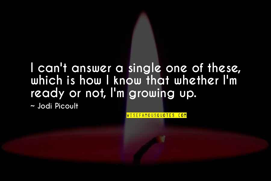 I'm Not Ready Quotes By Jodi Picoult: I can't answer a single one of these,