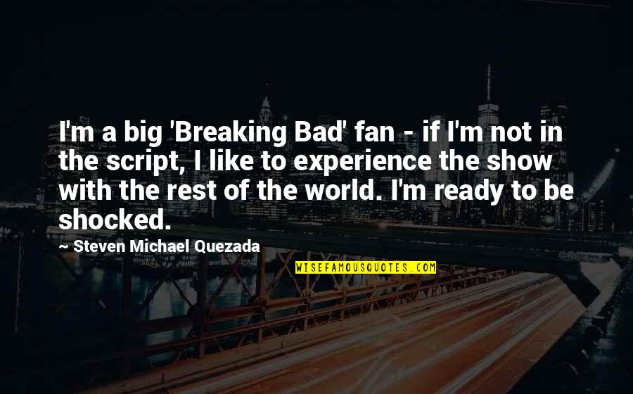 I'm Not Shocked Quotes By Steven Michael Quezada: I'm a big 'Breaking Bad' fan - if
