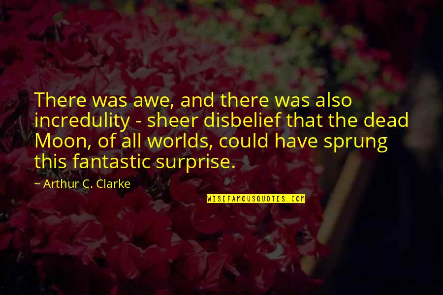 I'm Not Sprung Quotes By Arthur C. Clarke: There was awe, and there was also incredulity